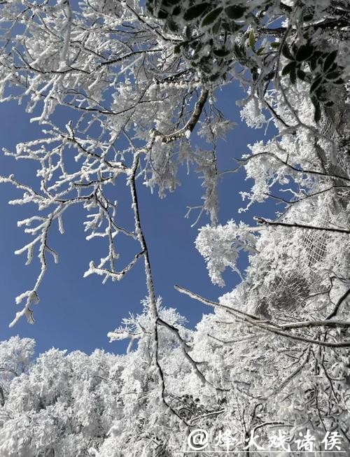赏雪张家界